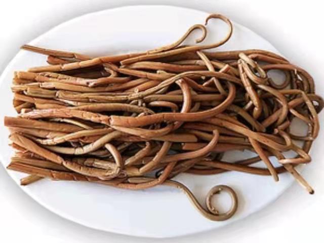 野生牛毛广